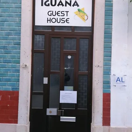 Iguana 라고스
