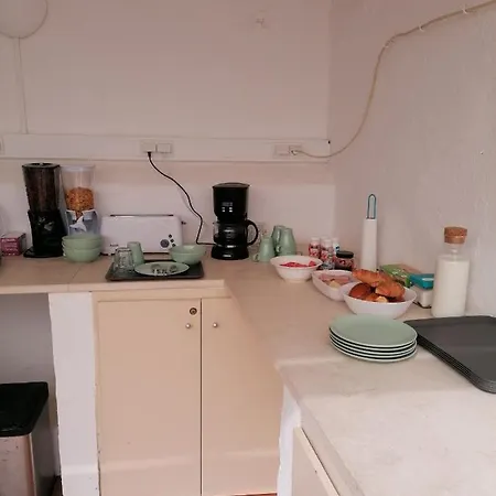 Iguana Affittacamere Lagos